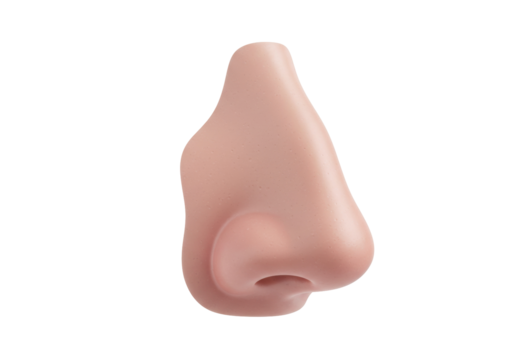 Realistic human nose isolated PNG, prosthetic makeup appliance for costume or medical use on transparent background