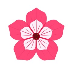 Beautiful Pink Flower Design.