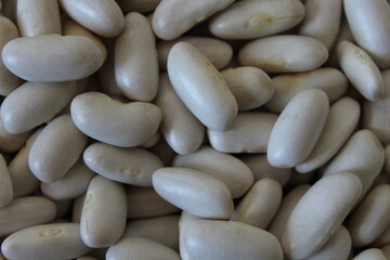 Raw white bean texture background. Organic bean pattern. Top view, close-up. Healthy eating concept