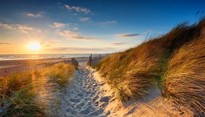 Keuken achterwand Noordzee Sand Path To North Sea Coast At Sunset  © Zoie