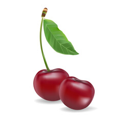 3d realistic vector icon illustration. Fresh red cherries with stem and leaf in one, two or three berries.
