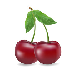 3d realistic vector icon illustration. Fresh red cherries with stem and leaf in one, two or three berries.