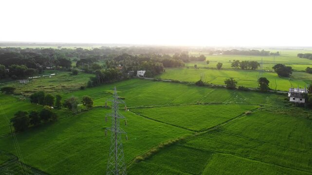 Aerial view over agricultural land and electric high voltage pylon pols in sunset time. High voltage lines and power pylons in middle of a rice field.