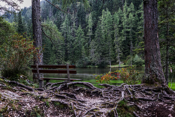 Bench by a forest lake / Banca junto a un lago en el bosque / Bank am Waldsee