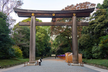Torii gate leading to Meiji Shinto shrine in Shibuya, Tokyo, Japan