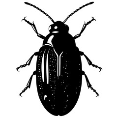 Silhouettes of a Jewel Beetle - Macro Photograph of an Iridescent Insect, Isolated on White