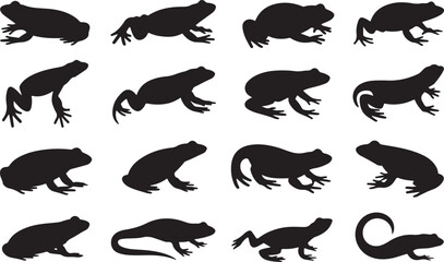  Frog, Toad, Salamander, Newt silhouette vector