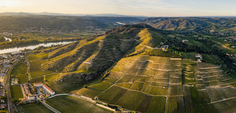 Sunset over Vineyards of Tain Hermitage, Rhone Valley, France – Famous Wine Region and Scenic Landscape