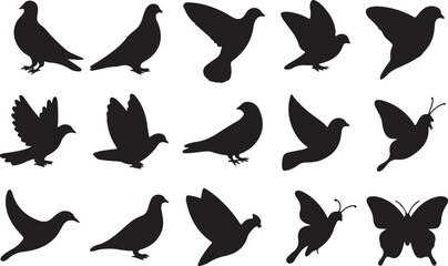 Robin, Pigeon, Dove, Butterfly silhouette vector