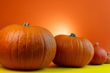 Three vibrant orange pumpkins of varying sizes are arranged on a bright yellow surface against a warm orange background, creating a festive autumn atmosphere