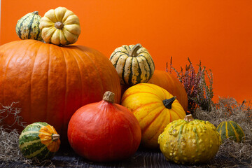 Vibrant assortment of pumpkins and gourds in various shapes and colors, arranged artistically against a bright orange background, showcasing autumn harvest beauty and seasonal decor