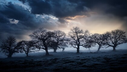 Fototapeta premium Ethereal Haunting Landscape With Silhouetted Trees Against A Dramatic Sky