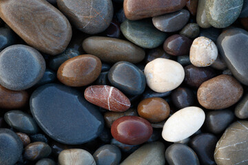 A collection of wet, smooth, multicolored sea stones. The concept of tranquility and serenity serves as a textured backdrop for a web banner page template design.