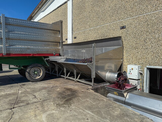 Grapes are transferring from the back of a large trailer into industrial winery equipment, beginning the process of pressing and winemaking during the autumn harvest season