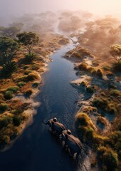 Des éléphants traversant une rivière dans la savane africaine avec une lumière matinale brumeuse, vue aérienne.