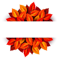 Autumn banner with red and orange fall leaves. Vector autumn card design