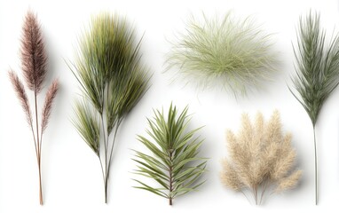 Assorted plant sprigs, various textures and colors,  isolated on white