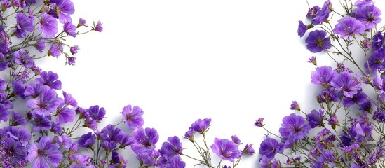 A border of vibrant purple flowers against a white background