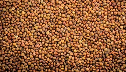 Fototapeta premium Textured Background Featuring Aromatic Brown Fenugreek Seeds
