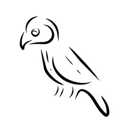 vector illustration of a bird