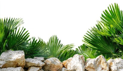 Lush green palm fronds frame a stone wall