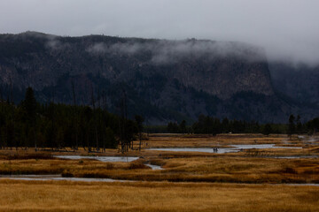Dramatic Yellowstone landscape with misty mountains and golden grasslands perfect for travel ads or...