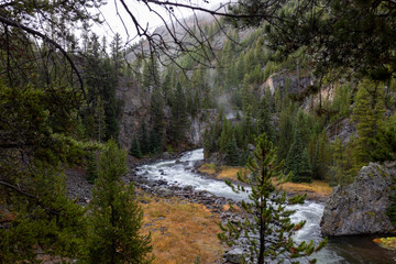 Serene river flowing through a stunning forest canyon, perfect for travel brochures or nature...