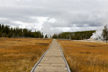 Discover Yellowstone's Majestic Beauty: A Stunning Walkway Through Golden Grasslands Leading to...