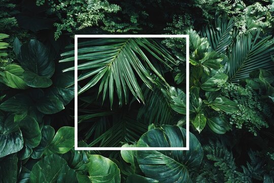 A white square frame sits amidst a lush array of tropical foliage