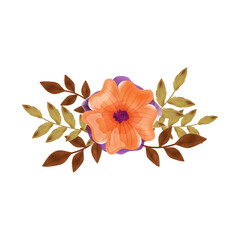 Orange and Purple Flower Arrangement with Green and Brown Leaves, Beautiful Floral Design