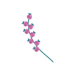 A delicate sprig with small pink berries, perfect for natural and botanical designs, isolated on white