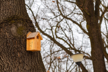 Wooden birdhouse on tree trunk in winter park, handmade nesting box for birds