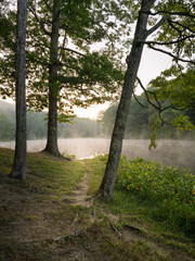 A tranquil lakeside path is surrounded by tall trees and lush greenery as morning mist rises gently from the water, creating a calm and peaceful atmosphere. Indiana. Morgan Monroe Forest. vertical.