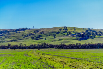 Winter Fades and Green Returns across the Rural Landscape