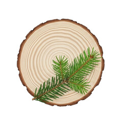 Natural round wood slice with a green fir branch on top. PNG Transparent