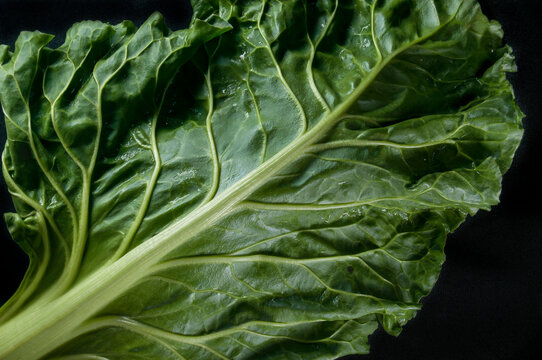 Hoja verde de acelga o verdura para preparar alimentos como ensalada o acompa&ntilde;ar platillos, vista aerea