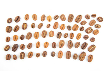 Coffee beans of various types arranged in a neat pattern on a white background