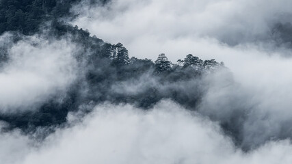 fog landscape Thailand