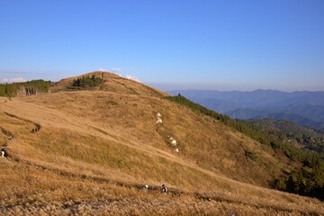秋の生石高原と青空のハイキング