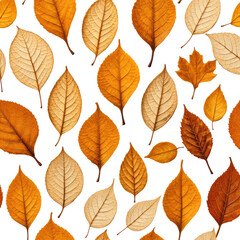 Obraz premium Warm autumn leaves, scattered on a black background