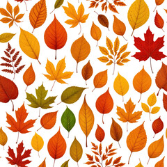 Fototapeta premium Colorful autumn foliage pattern on a dark background. Diverse leaf shapes and hues