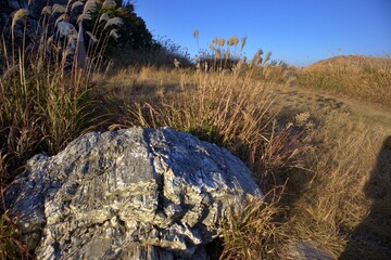岩と秋のススキが広がる生石高原