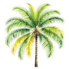 Fototapeta premium Watercolor illustration of a lush, detailed palm tree, isolated on black