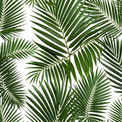 Obraz premium Green palm leaves against a black backdrop, lush tropical foliage