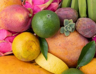 Vibrant tropical fruits close-up. Papaya, dragon fruit, mango, green bananas, prickly pear, lime, lemon and orange. Exotic healthy diet ingredients rich in vitamins and antioxidants.