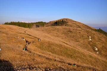 秋の生石高原と青空のハイキング