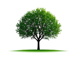 Isolated image of a stylized tree