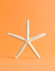 Isolated starfish on an orange background