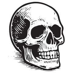 Occult Skull Line Art Vector Icon