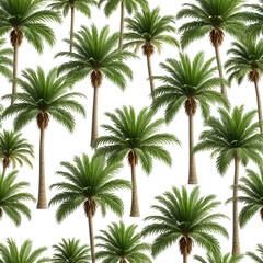 Tropical palm tree pattern on black background for textile, fabric, or print designs